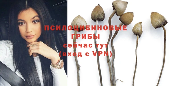 спиды Балабаново