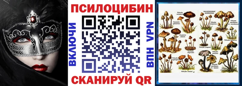 Псилоцибиновые грибы Magic Shrooms  Бодайбо 
